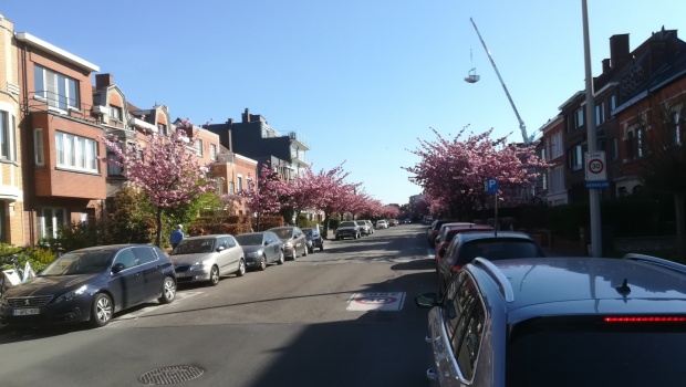 Mobiliteits En Klimaatplannen Voor Kessel Lo Nemen De Publieke Parkeerplaatsen In Het Vizier Leuven Actueel